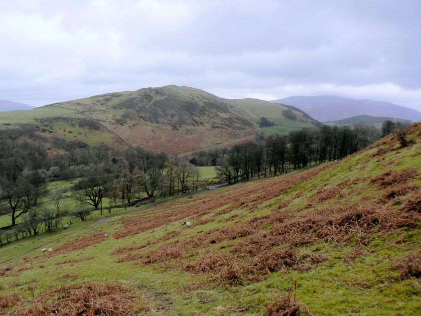 Sale Fell Sale Fell